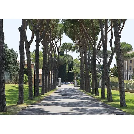 호텔 Th - Carpegna Palace 로마